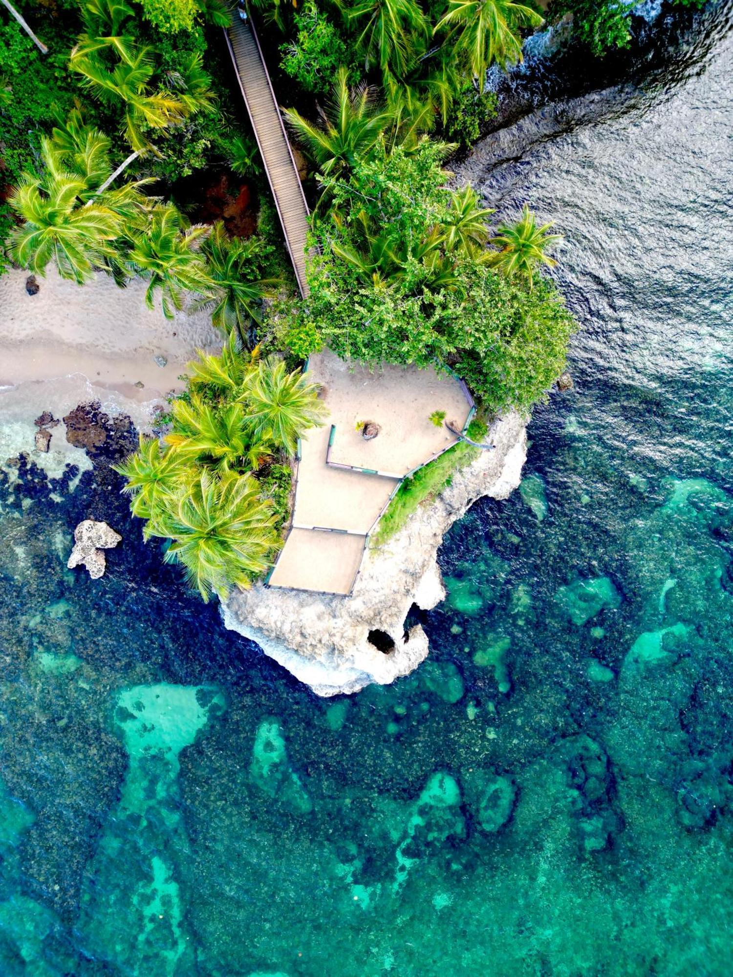Oso Perezoso Pool Villa Puerto Viejo de Talamanca Exterior foto